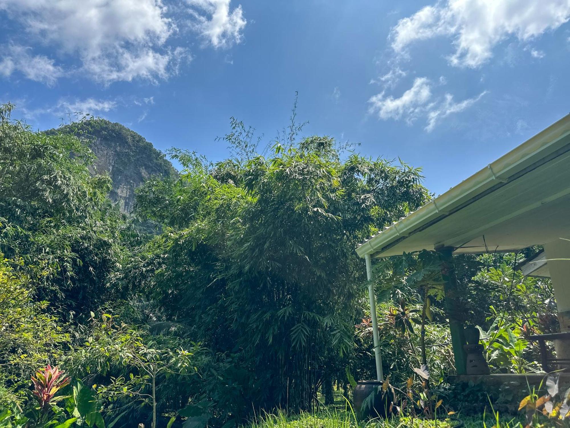 Baan Suanthip Homestay - Aoluek Natural Retreat Ao Luk Exterior foto